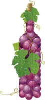 grapes   Bb2 - kostenlos png