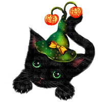 Cat.Witch.Black.Green.Yellow.Orange - png gratuito
