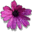 fleur - GIF animado gratis