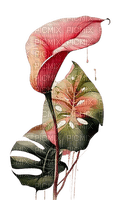 Акварельный цветок - фрее пнг