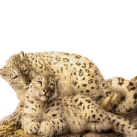 animal-leopard - ilmainen png