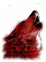 Loup rouge - darmowe png