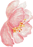 Fleur.Flower.aquarelle.pink.Victoriabea - PNG gratuit