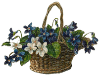 cesta flores  dubravka4 - 免费PNG