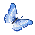 бабочка - Darmowy animowany GIF