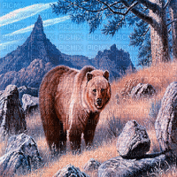 bär bear milla1959 - GIF animado grátis