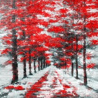 Y.A.M._Winter background - Kostenlose animierte GIFs