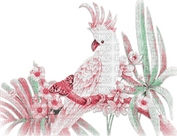 soave deco summer tropical bird parrot branch - 免费PNG