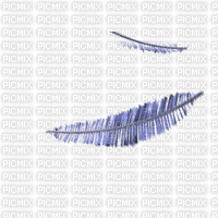 chantalmi  plume bleue blue gif - Free animated GIF