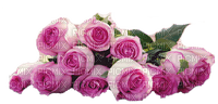Pink Roses - nemokama png