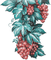 soave deco autumn branch grapes vintage pink teal - zdarma png
