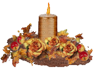 Kerze, Gold, Rosen, Herbst - Gratis geanimeerde GIF
