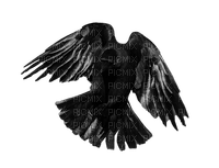 crow katrin - gratis png