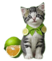 Lime Kitten - 免费PNG