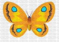 YELLOW BUTTERFLY - PNG gratuit