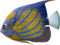 Kaz_Creations  🐟  Fish 🐟 - безплатен png