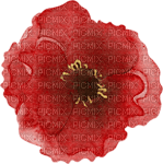 dolceluna red flower poppy deco - png gratis