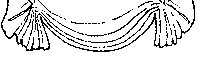 Вуаль - Zdarma animovaný GIF