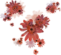 dolceluna orange flowers pink - png grátis