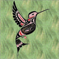 hummingbird - Animovaný GIF zadarmo