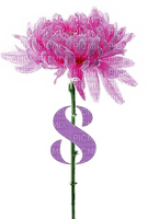 8 .March.Women's Day.Fleur.Flower.Victoriabea - безплатен png