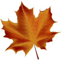 Kaz_Creations Autumn Fall Leaves Leafs - darmowe png