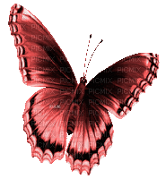 Y.A.M._Summer butterfly red - GIF animasi gratis