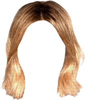 hair, wig bp - ücretsiz png