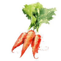 carrots Bb2 - Free PNG