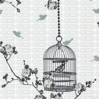 bird cage - PNG gratuit