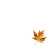 feuille d'automne - GIF animado gratis