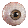 ♡§m3§♡  8fra eye animated gif brown - 免费动画 GIF