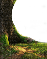 arbre tree border - PNG gratuit