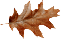 Kaz_Creations Deco  Colours Autumn Leaves Leafs - PNG gratuit