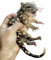hand holding baby beast - PNG gratuit