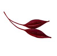 minou-red-leafs - Free PNG