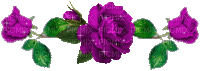 rose mauve - Gratis animeret GIF