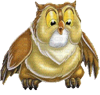 eule owl milla1959 - Bezmaksas animēts GIF