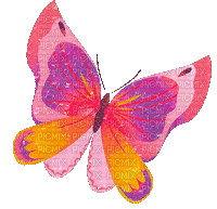 бабочка - Gratis geanimeerde GIF