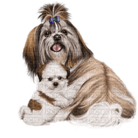 Kaz_Creations Dogs Dog Pup 🐶 - nemokama png