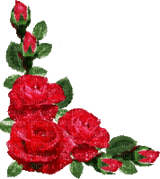 red roses glitter - Бесплатный анимированный гифка