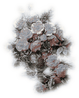 vase flower dubravka4 - ücretsiz png