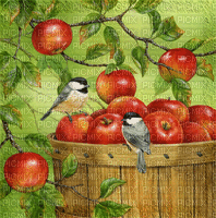 Birds and Apples