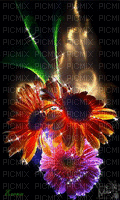 MMarcia gif flores reflexo fundo - GIF เคลื่อนไหวฟรี