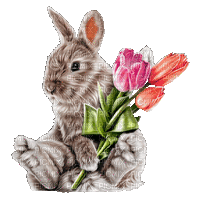 hare by nataliplus - GIF animate gratis