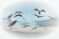 paisaje aves - Free PNG