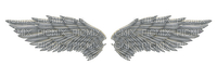 angel wings - ücretsiz png