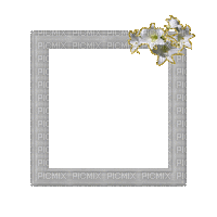 Small White Frame - Бесплатни анимирани ГИФ