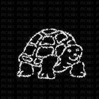 turtle - Bezmaksas animēts GIF