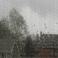 window glass fenster fenêtre   fenetre  room raum chambre  zimmer   gif anime animated animation  garden paysage  jardin  landscape autumn automne herbst rain regen remuer - GIF เคลื่อนไหวฟรี